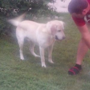 Meet your Posher, Jonathan